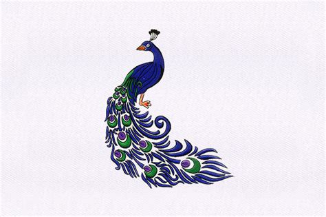 Peacock