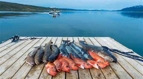 Seafood and sustainability: Norway at its very best - Falstaff