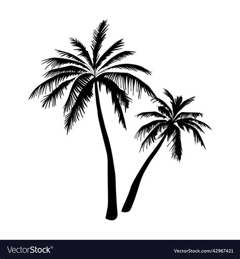 Black palm tree silhouette Royalty Free Vector Image