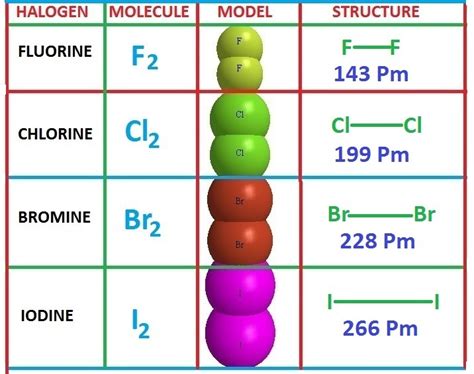 Halogen family elements-properties-periodic table-oxyacids-radioactivity. - PG.CHEMEASY