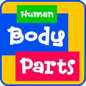 7 تطبيقات أيباد لتعريف الأطفال بالجسم البشري - تعليم جديد