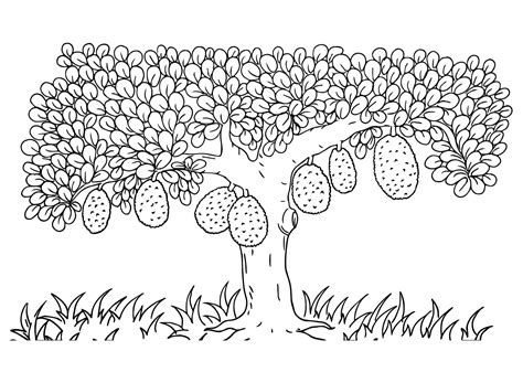 Jackfruit Tree Coloring Page - Free Printable Coloring Pages