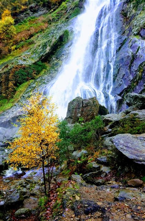 Ireland water fall, beauty of nature. #ireland #waterfall #autumn # ...