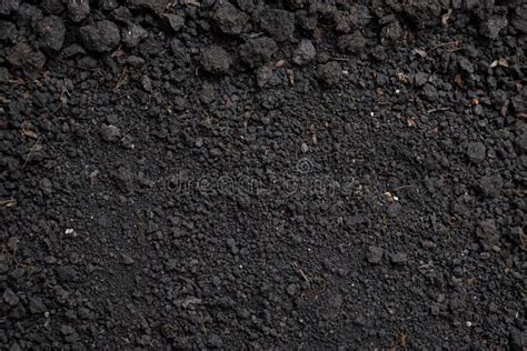 Top View, Close-up of Organic Black Soil Texture Pattern Background. Can Be Used Planting Tree ...