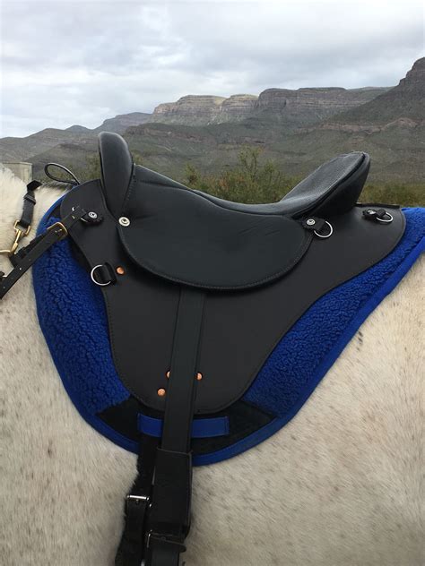 Specialized Saddle Eurolight Model | Endurance saddles, Equestrian ...