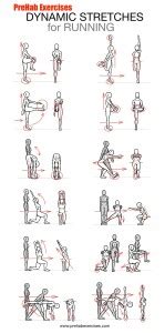 Stretches - Dynamic Stretches for the Running - Prehab Exercises