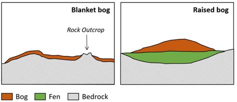 9. Graphical representation of a typical blanket bog and raised bog. | Download Scientific Diagram