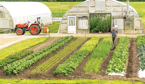 Clay_Bottom_Farm_row_hand_till_greenhouses - Hobby Farms