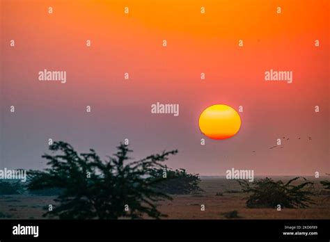 A Sunrise in rann of kutch Gujarat Stock Photo - Alamy