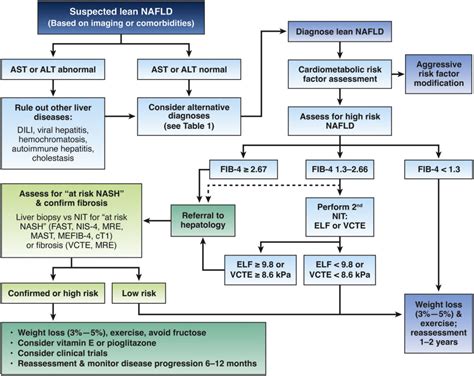 AGA Clinical Practice Update: Diagnosis and Management of Nonalcoholic Fatty Liver Disease in ...