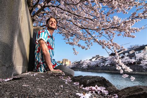 What the Kanazawa Cherry Blossoms Meant to Me