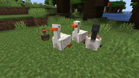 Untitled Duck Mod - Gallery