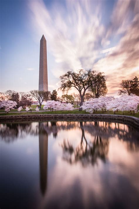 Washington Monument, Cherry Blossom Festival 2015 | Cherry blossom festival, Washington monument ...