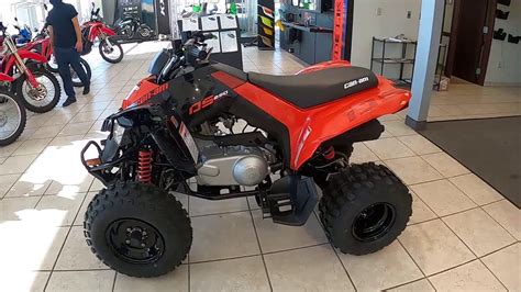 2021 CAN-AM DS 250 - New ATV For Sale - Lodi, Ohio - YouTube