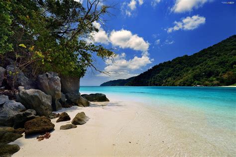 Jungle Beach Wallpapers - Top Free Jungle Beach Backgrounds - WallpaperAccess