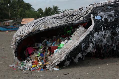 WATCH | 'Dead whale' filled with plastic waste beaches in Naic, Cavite