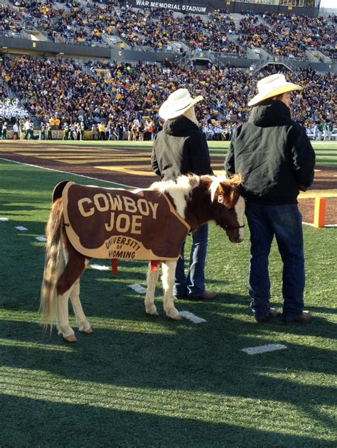 Cowboy Joe is the cutest mascot ever. University of Wyoming football ...