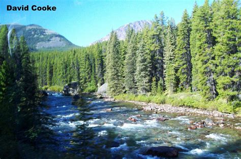 CD3631 Canada 14.9.11 - Maligne River, Alberta | David Cooke | Flickr