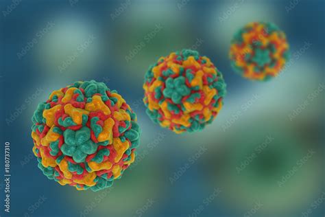 Rhinoviruses are the predominant cause of the common cold. 3D ...