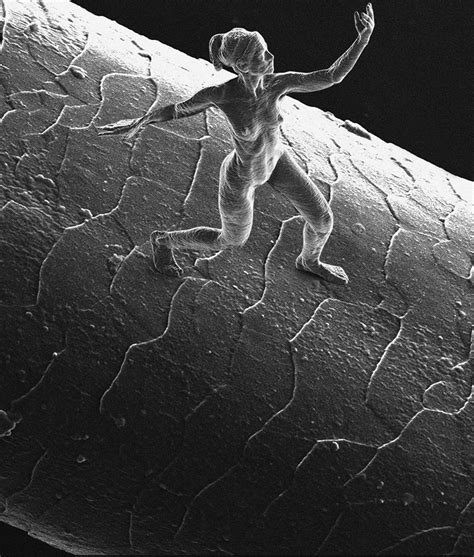 jonty hurwitz's nano sculptures are the same scale as a human sperm