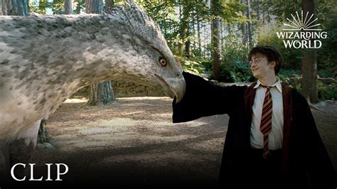 Meet Buckbeak | Harry Potter and the Prisoner of the Azkaban - YouTube