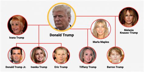 【図解】トランプ氏の家系図・家族構成。前妻・前々妻、誰がどこの子？ | hanahoji