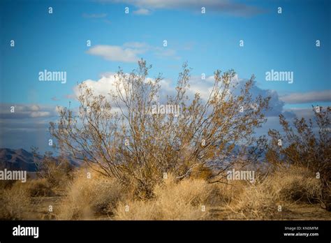 Apple Valley, California Stock Photo - Alamy