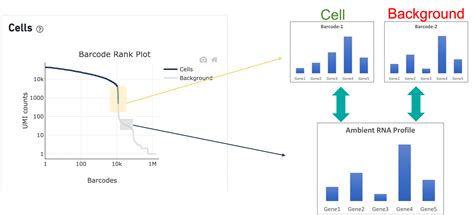 A Guided Tour of the Barcode Rank Plot -Software -Single Cell Gene Expression -Official 10x ...