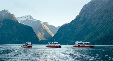 Southern Discoveries Milford Sound vessels - Southern Discoveries