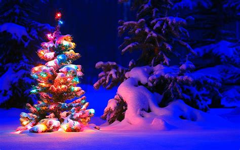 Christmas Background, Snowy Christmas Tree Lights, Snowy Christmas Night HD wallpaper | Pxfuel