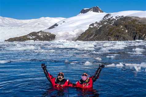 Antarctica Sea Life: What To See | Vantage Explorations