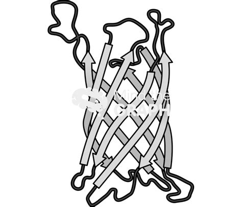 Beta barrel protein 2