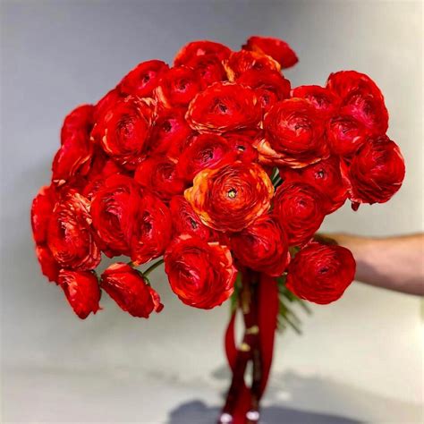 Bouquet of 39 Ranunculus | Order Flower Bouquets Delivery