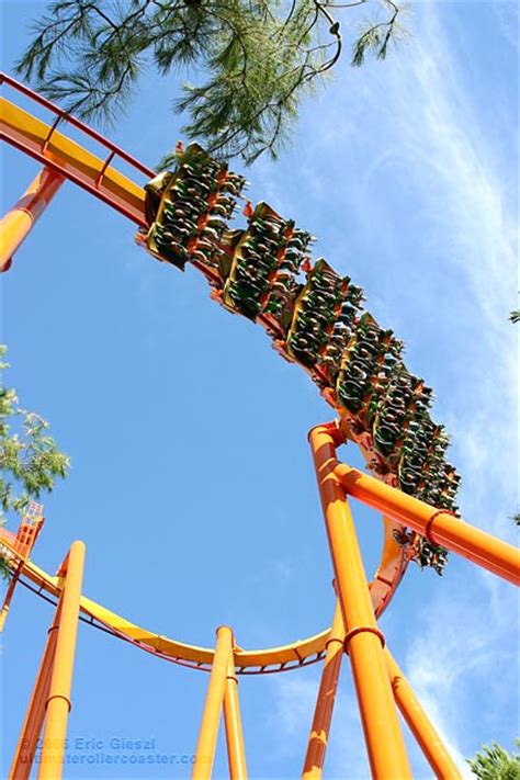 Tatsu, Six Flags Magic Mountain | Roller Coasters!