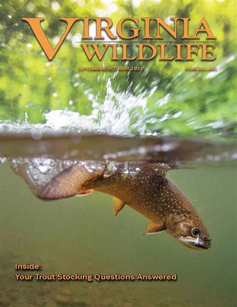 Virginia Wildlife Magazine | Virginia DWR