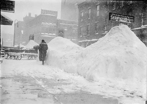 These are snowbanks! Rochester (NY) treetscape after the blizzard of ...