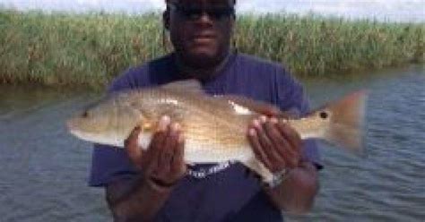 Mississippi Gulf Coast Fishing Reports & Forecasts Archives | Coastal ...