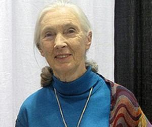 Jane Goodall Biography, Birthday. Awards & Facts About Jane Goodall