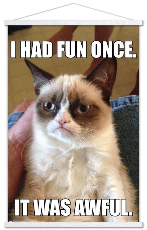 Grumpy Cat - Fun Poster in 2023 | Funny grumpy cat memes, Angry cat memes, Grumpy cat humor