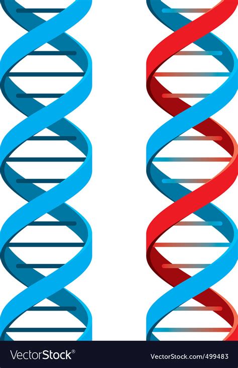 DNA symbol Royalty Free Vector Image - VectorStock