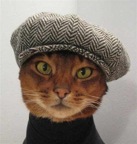 Rocket and Bear: Cats in hats - Love them!