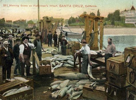 The Santa Cruz Wharf: A Hundred Years of History | Mobile Ranger