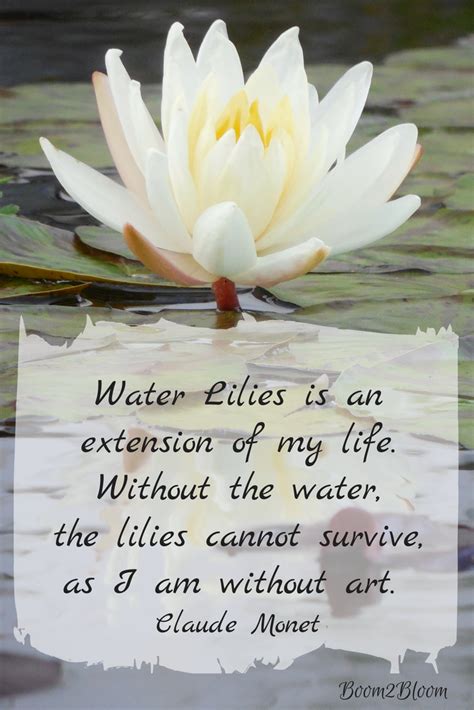 Water Lilies is an extension of my life.... Quote by Claude Monet ...