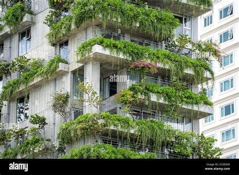 Ecological buildings facade with green plants and flowers on the stone wall of the facade of the ...