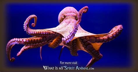 Octopus Symbolism & Meaning | Spirit, Totem, & Power Animal