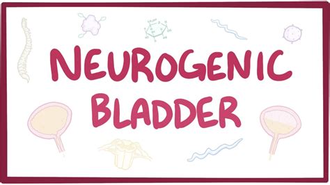 Neurogenic Bladder and how Neuro-urology can help - Elitour