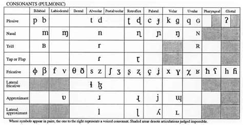 Speech Sound Classification ~ Sugary Gleez