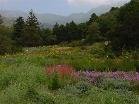 Santa Barbara Botanic Garden