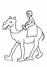 A Man Riding Camel Coloring Page  Free Printable Pages For Kids sketch template