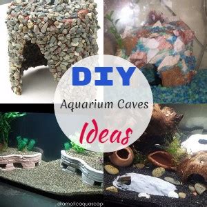 20 DIY Aquarium Cave Ideas - DIYnCrafty